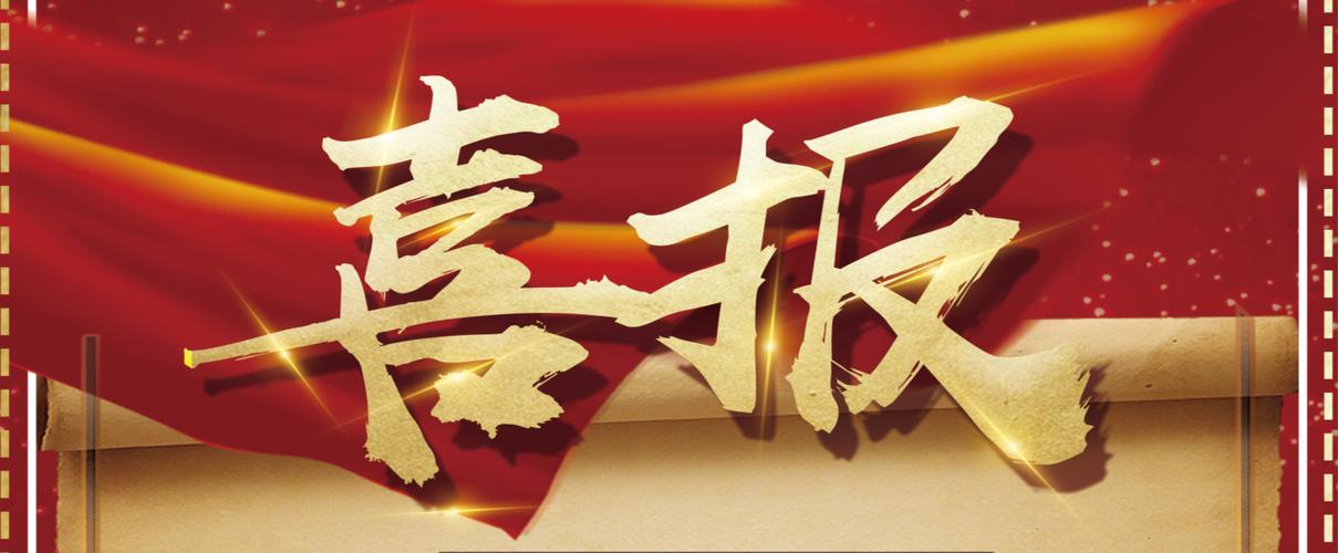 蜘蛛池出租选哪家
